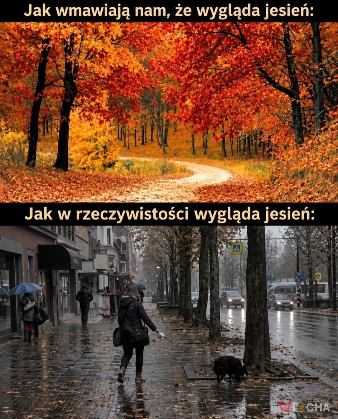 Jesień tak naprawdę