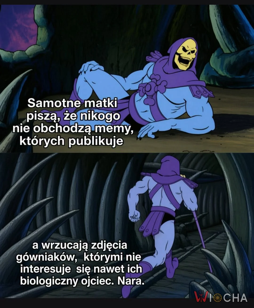 Znikaj, nara.