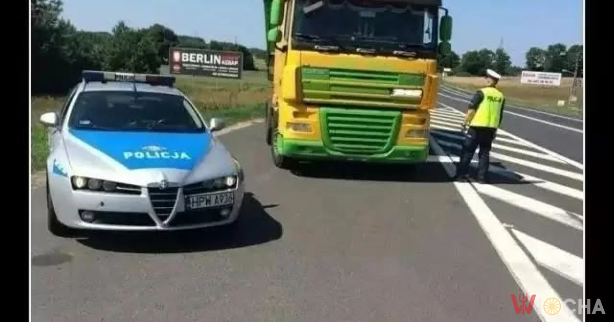 Kto tu kogo sprawdza?