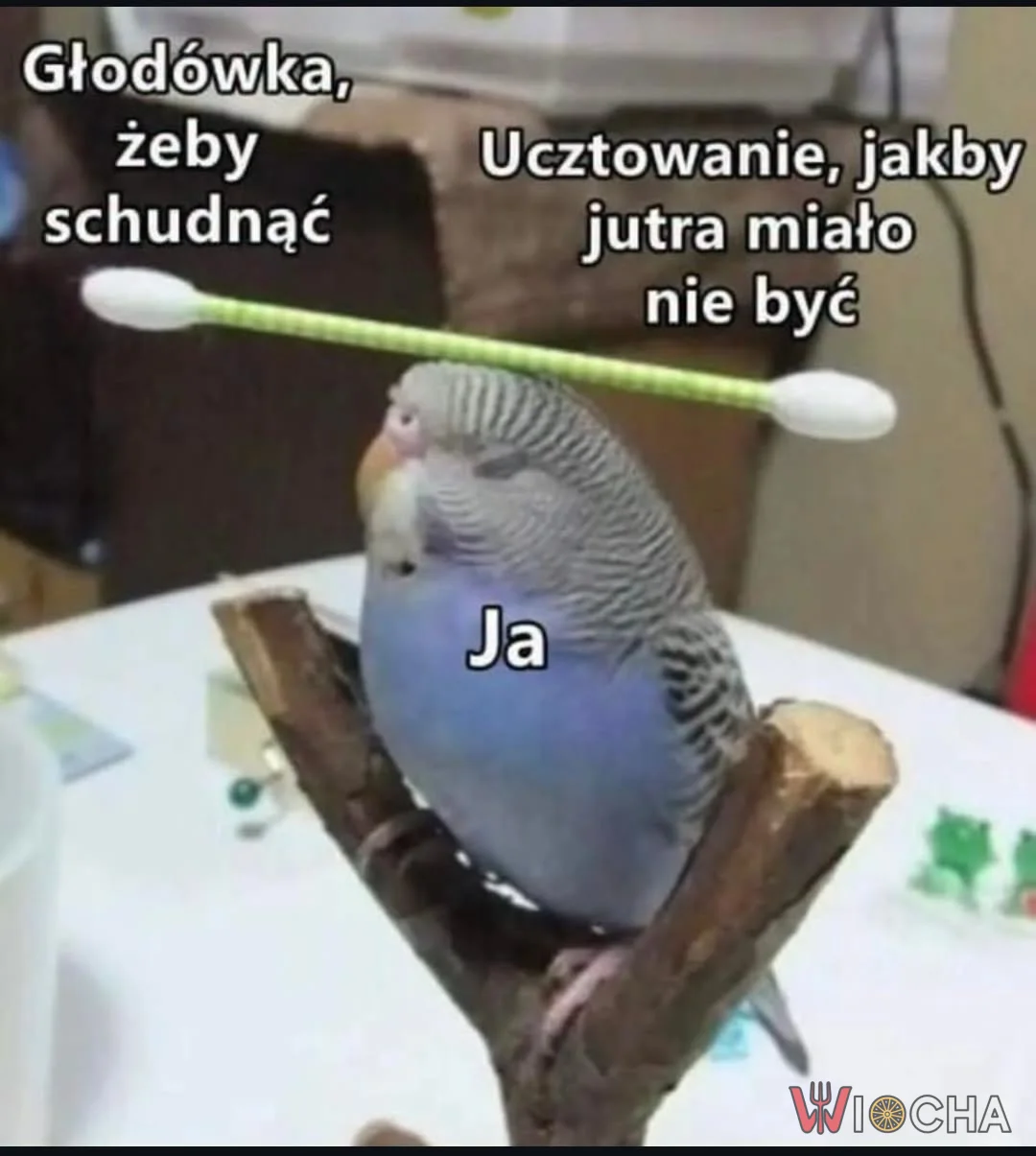 Kiedy jutro to nowy początek
