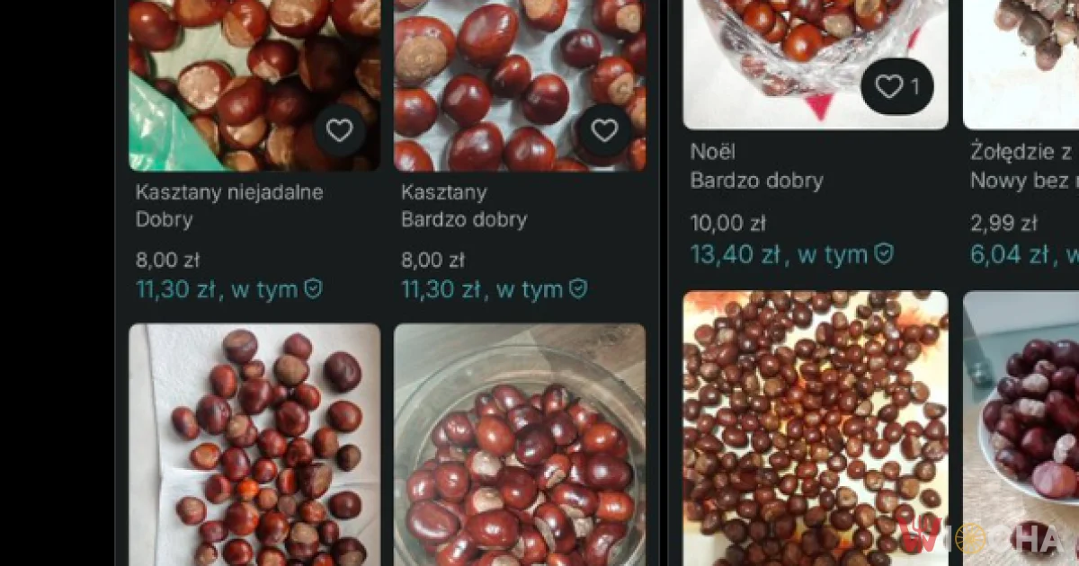 Ludzie sprzedają kasztany na Vinted