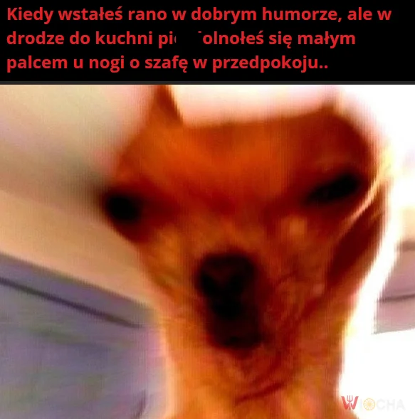 Był humor i nie ma humoru