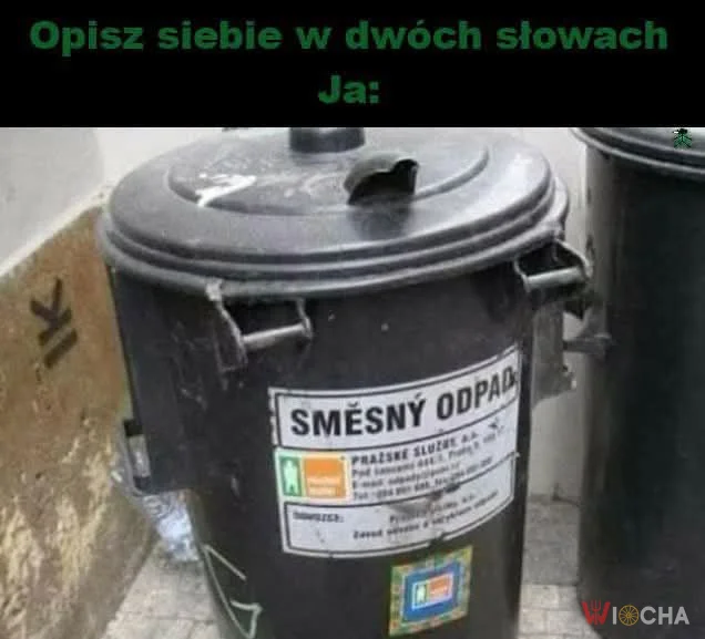 Opisz siebie w 2 słowach
