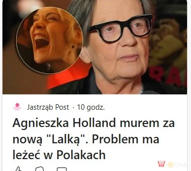 Czyli jak zwykle Polacy są problemem