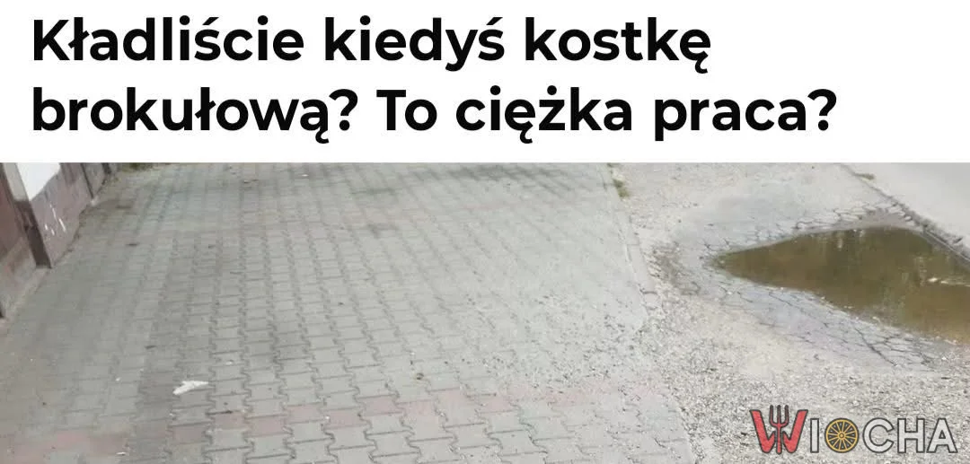 Kostka brokułowa