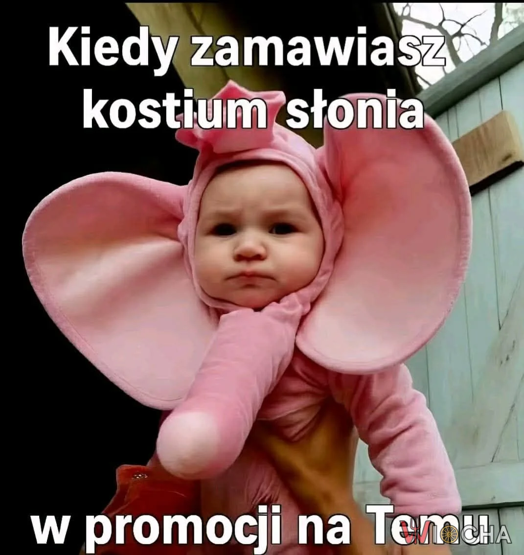 Kiedy promocja nie oszczędza