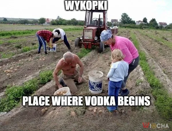Wykopki to bardzo ważne wydarzenie