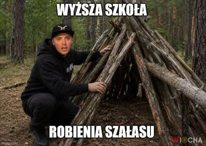 Absolwent z wyróżnieniem