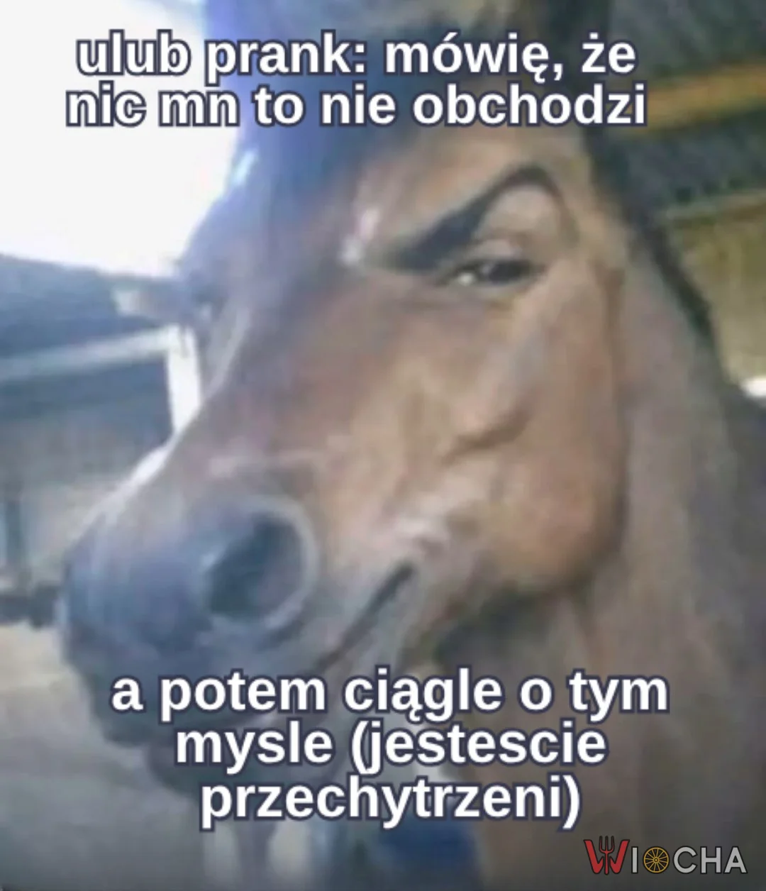 Kiedy mówisz, że ci nie zależy
