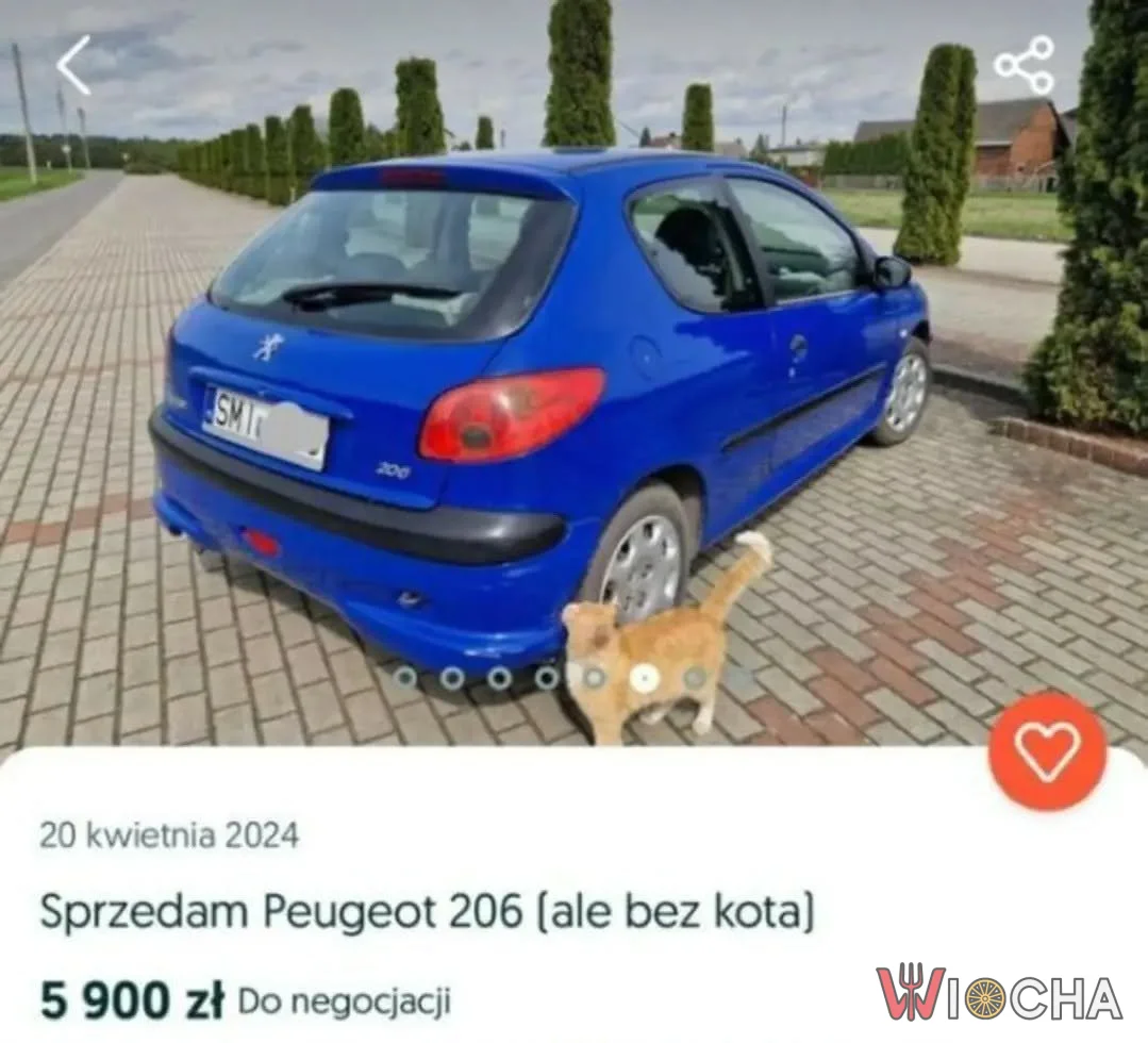 Peugeot z bonusowym kotem