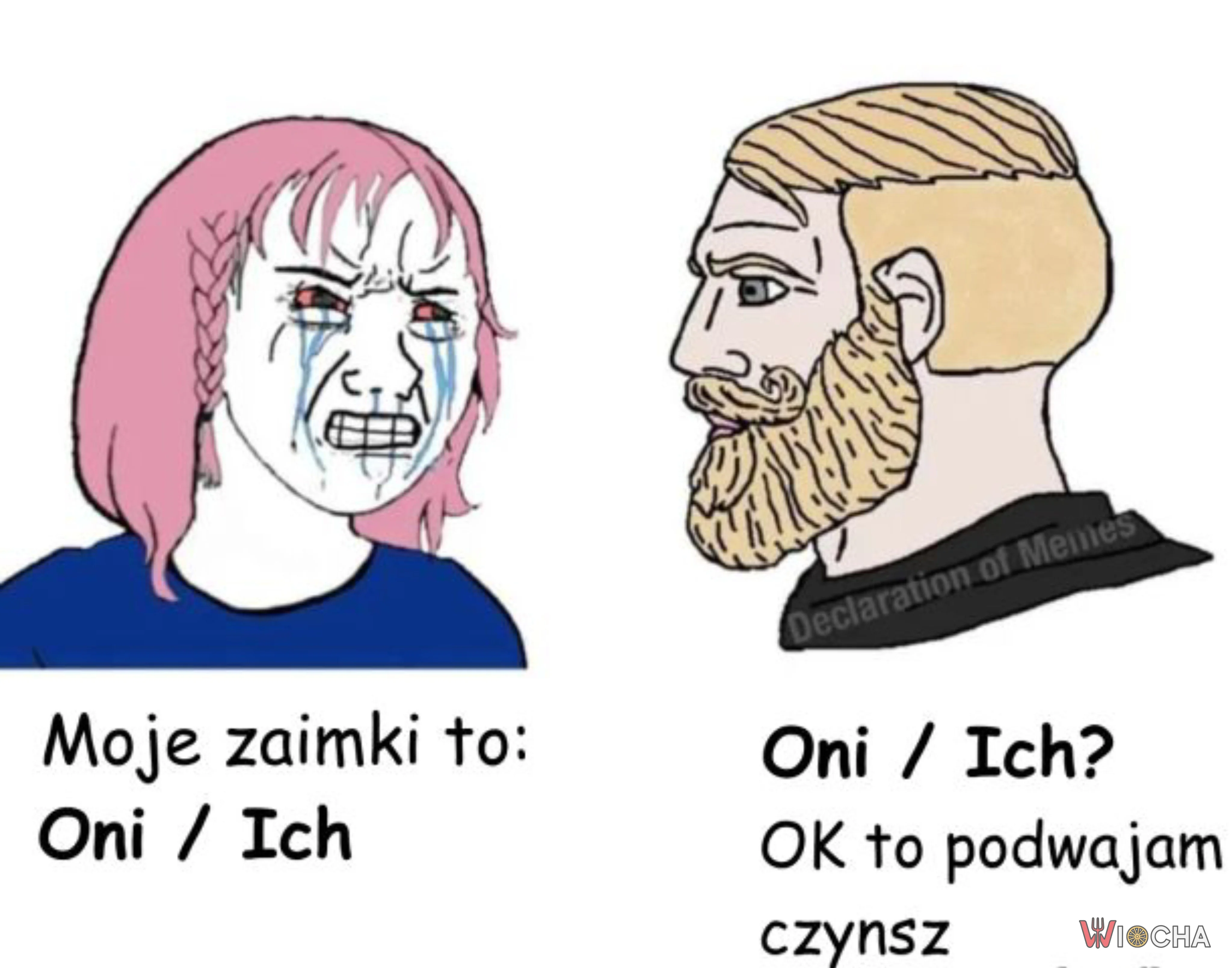 Zamieszanie z zaimkami