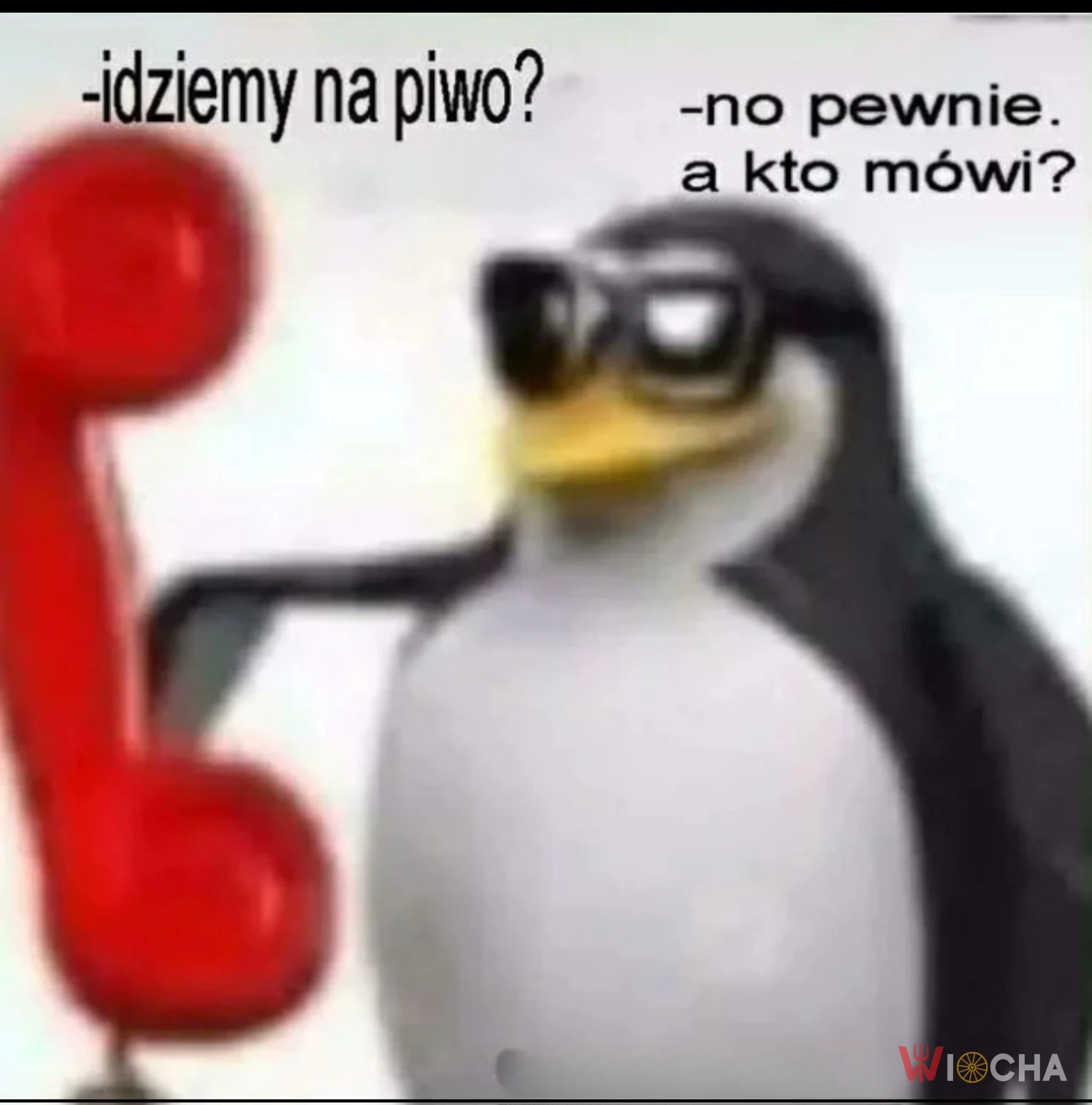 No pewnie, a kto dzwoni?