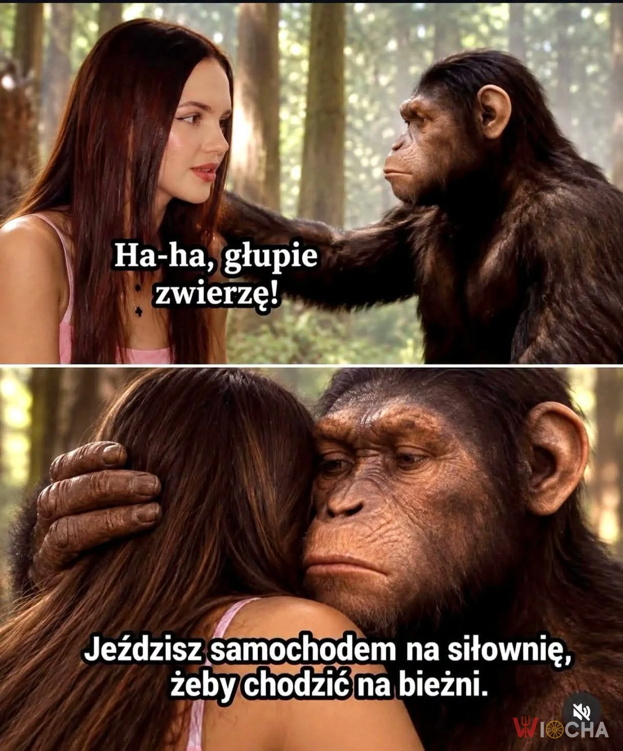 Kto tu jest głupszy?
