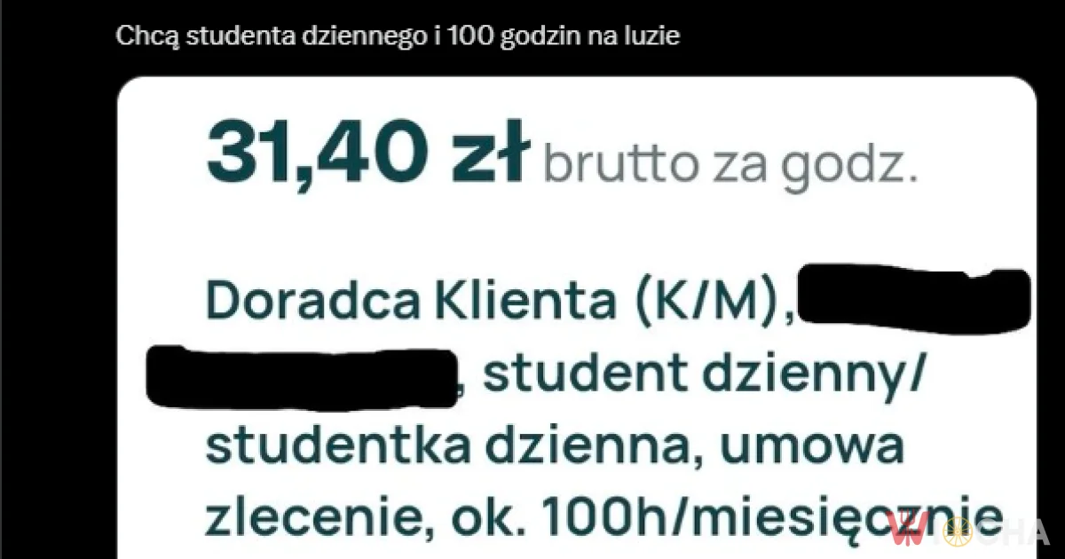 Praca marzeń?