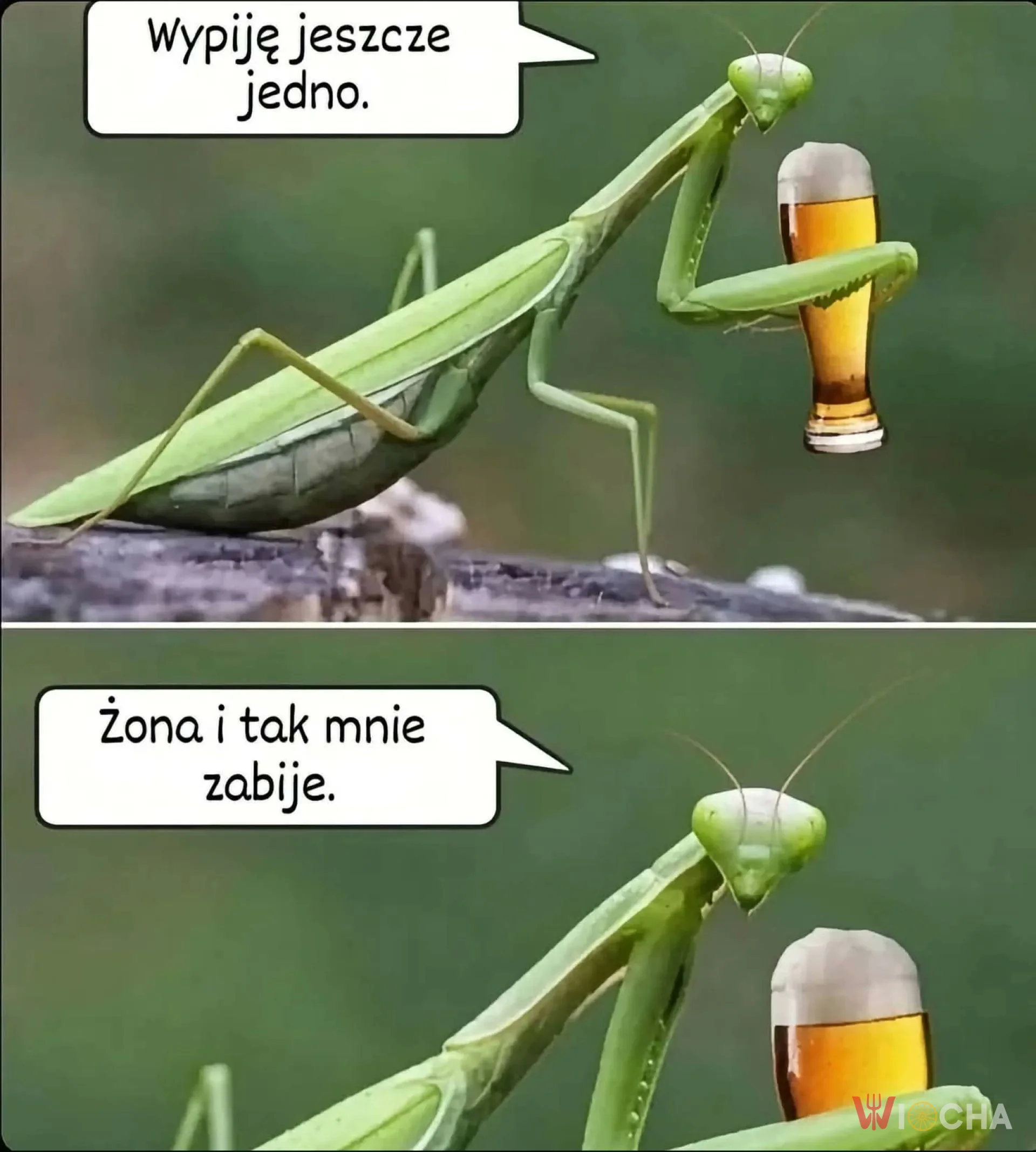 Piwo na poprawę humoru