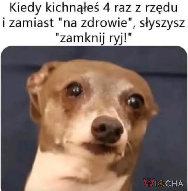 Nie przesadzaj z tym kichaniem