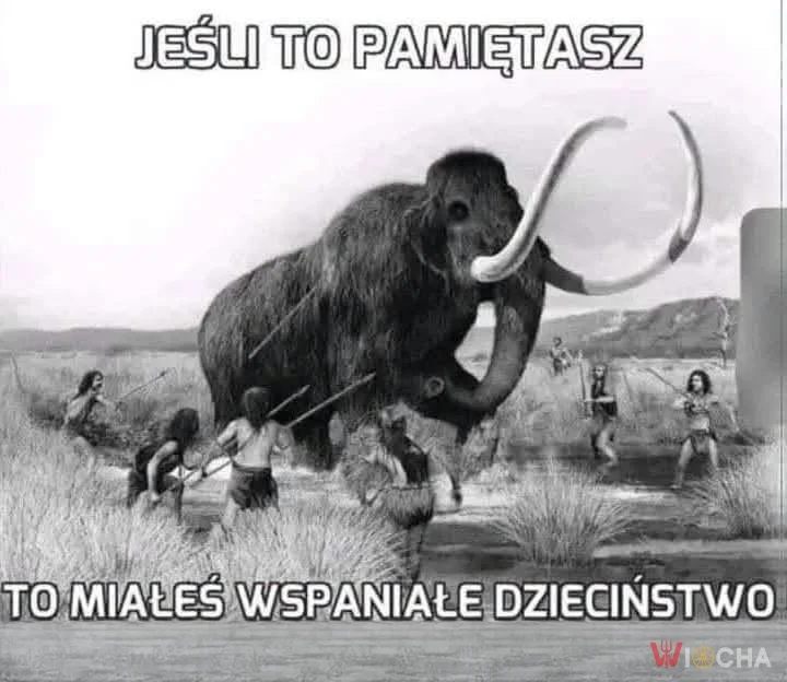 Wspaniałe dzieciństwo