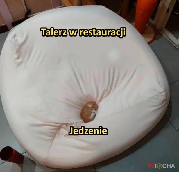 Restauracyjne szmutki