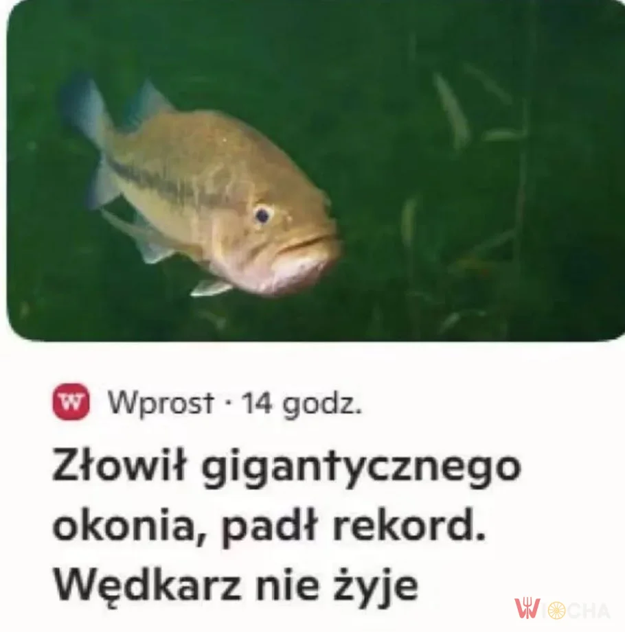 Jakie ryby, taki wędkarz