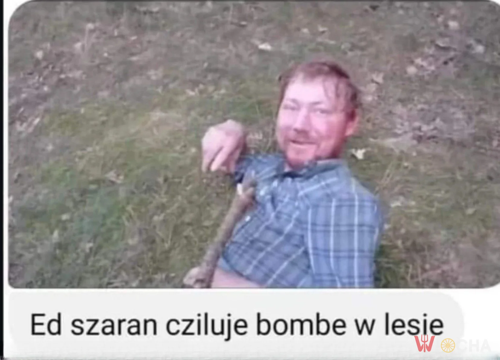 To jest ten cały Ed Sheeran?