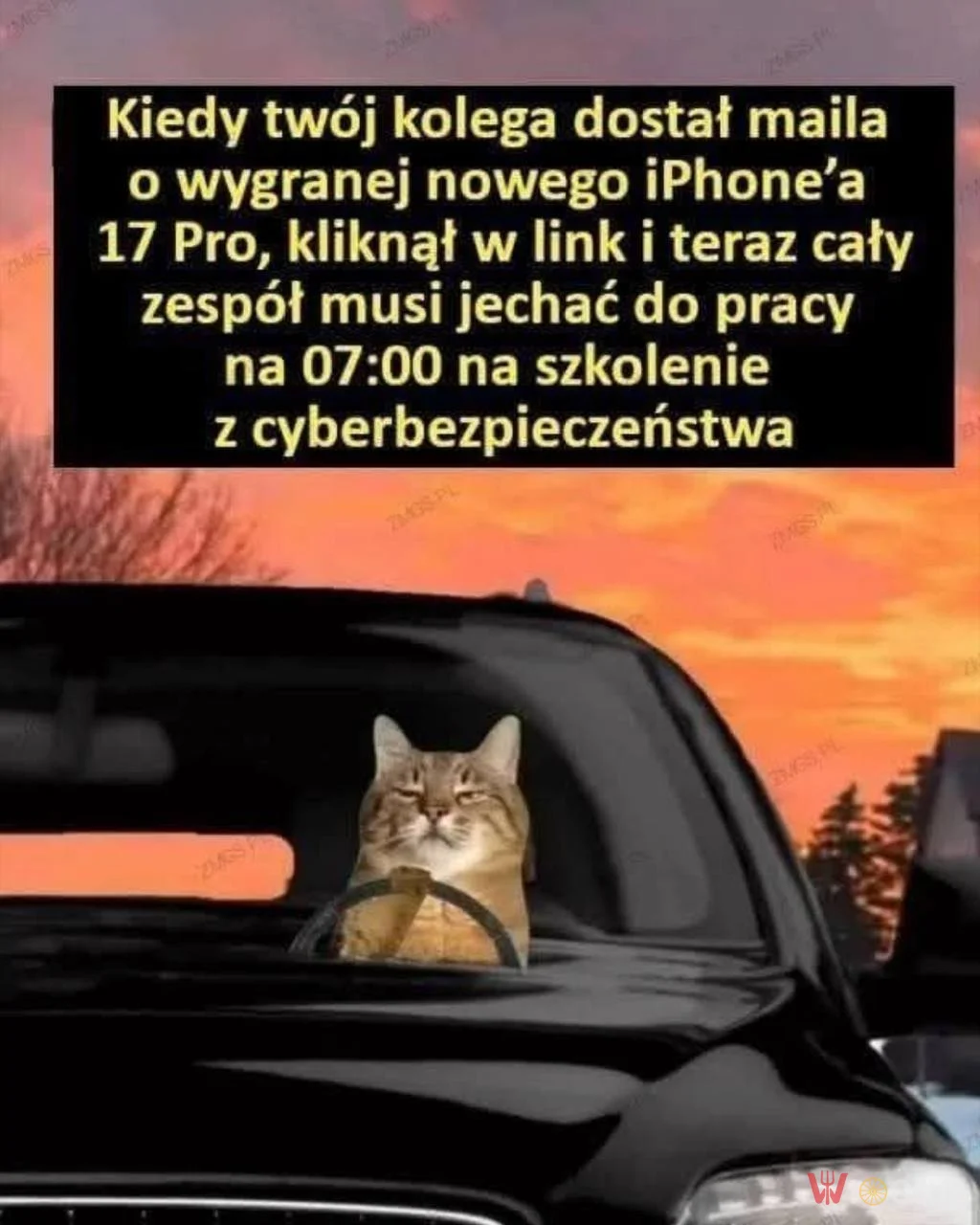 Bardzo ważna lekcja
