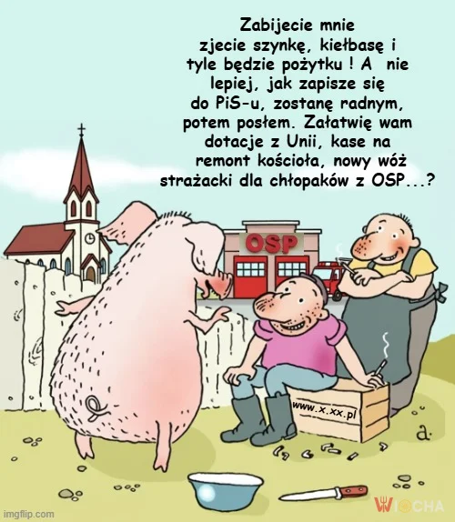 Skąd oni się biorą w Sejmie ?