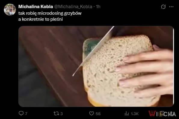 Microdising grzybów