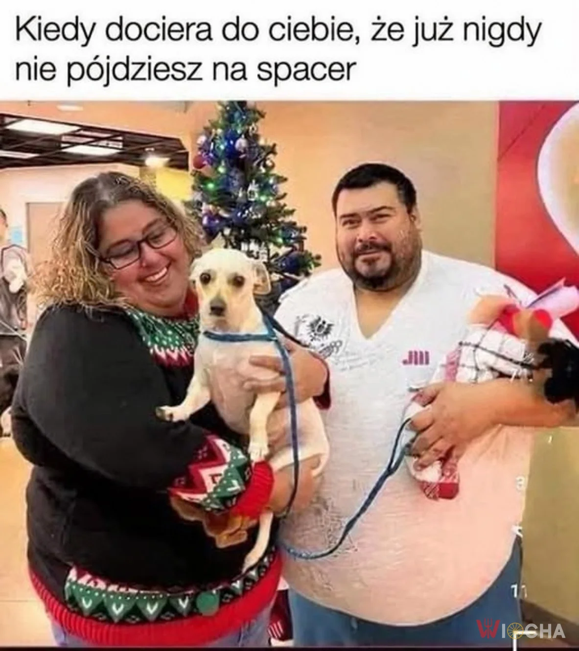 Plany poszły w łeb