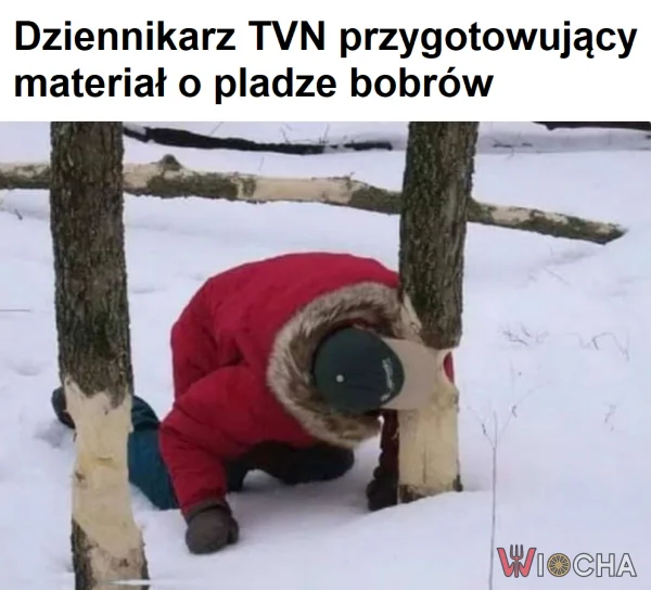 TVN w akcji