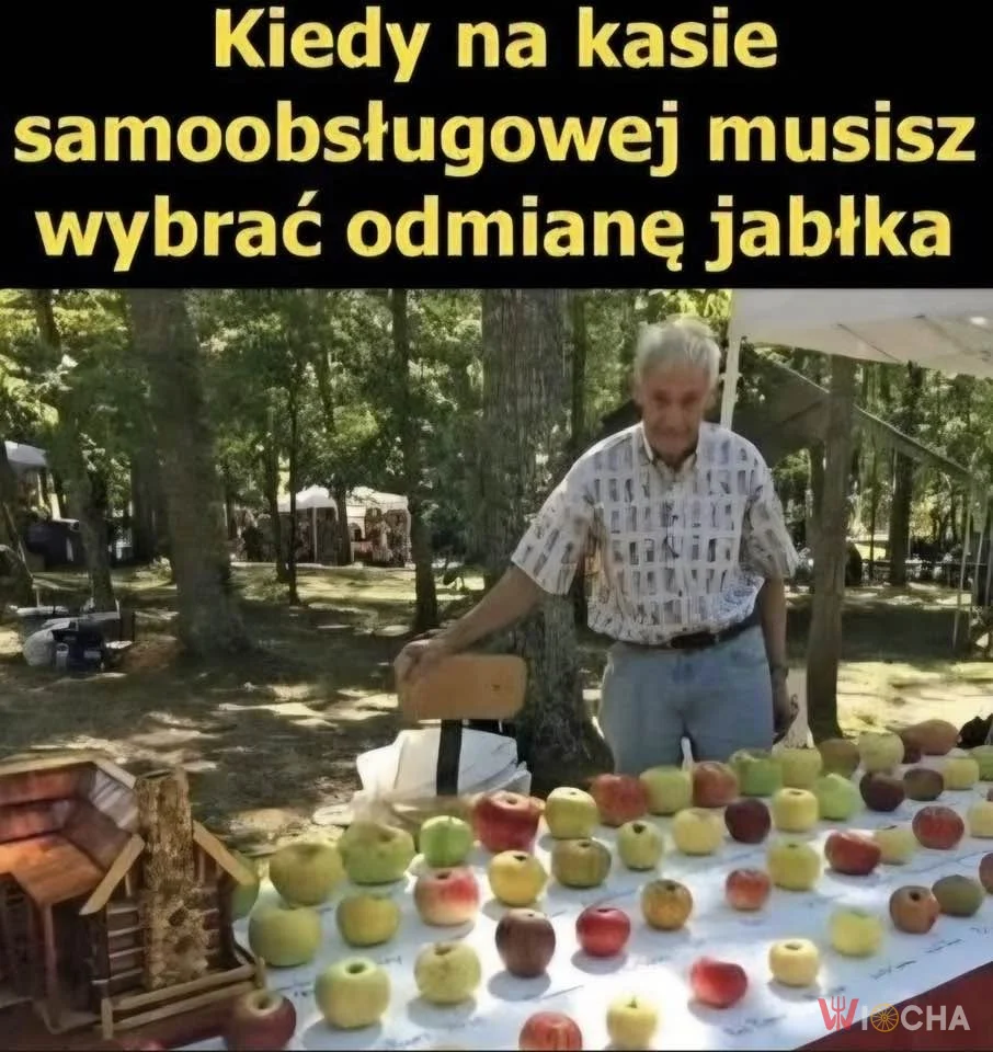 Jabłkowy dylemat