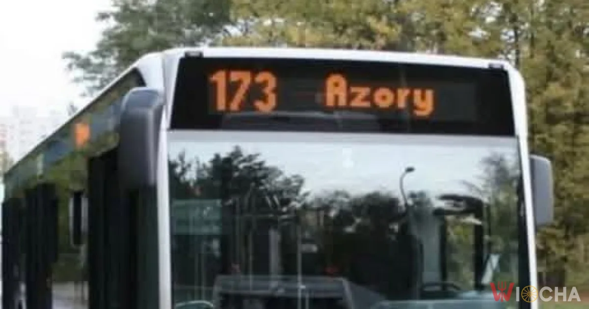 Polska wersja