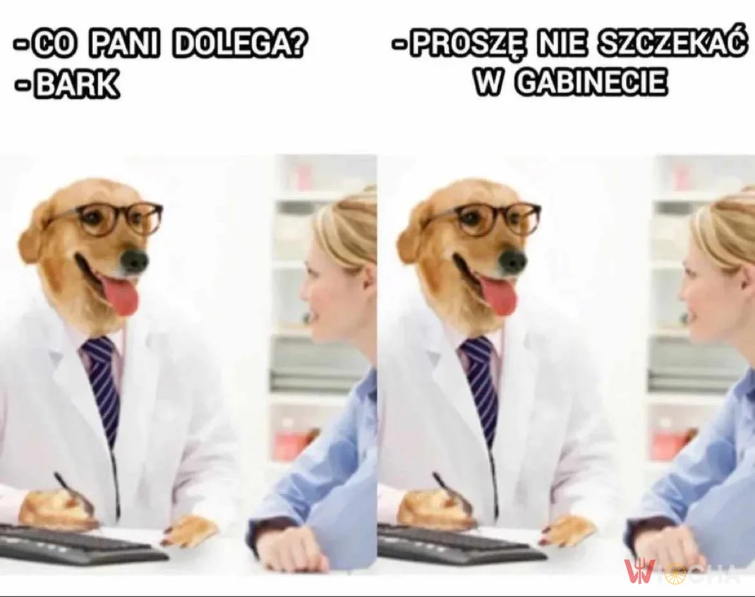 Wizyta u lekarza czy weterynarza?