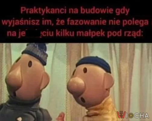 Budowa to nie tylko małpki
