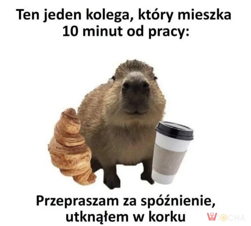 Zawsze w korku, a mieszka obok