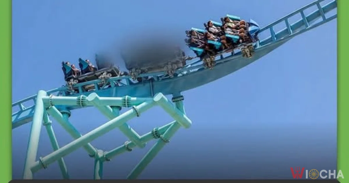 Wielka przygoda na rollercoasterze