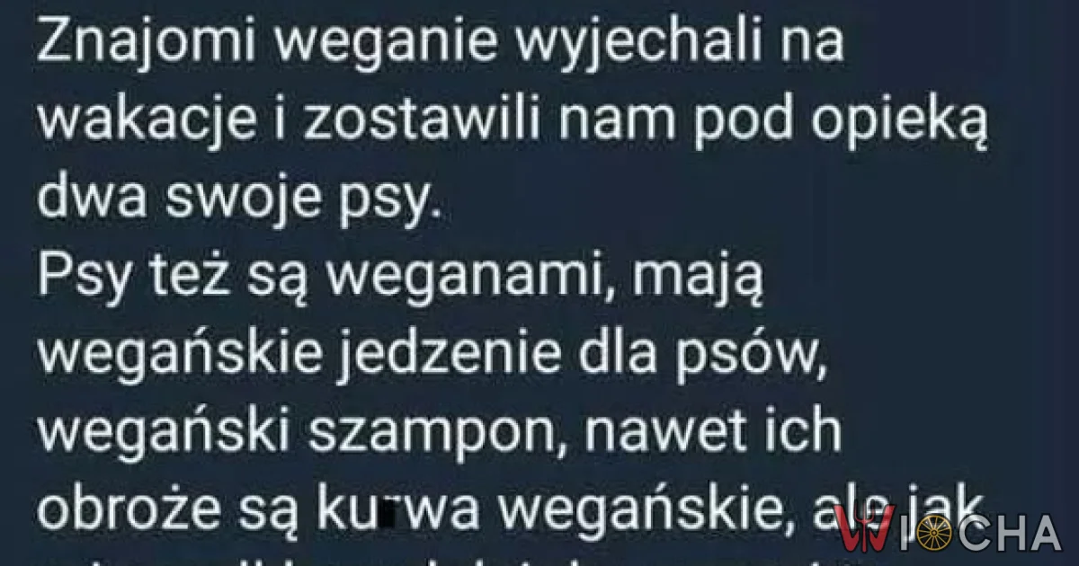 Psy weganie na wakacjach