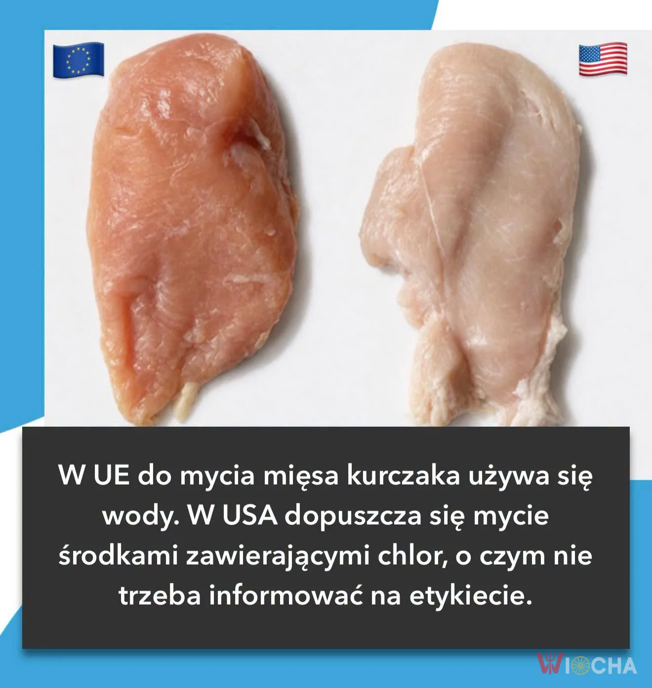 (Nie)mięso w USA