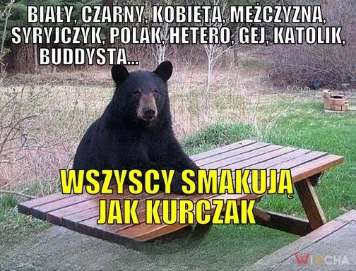 Wszyscy smakują jak kurczak