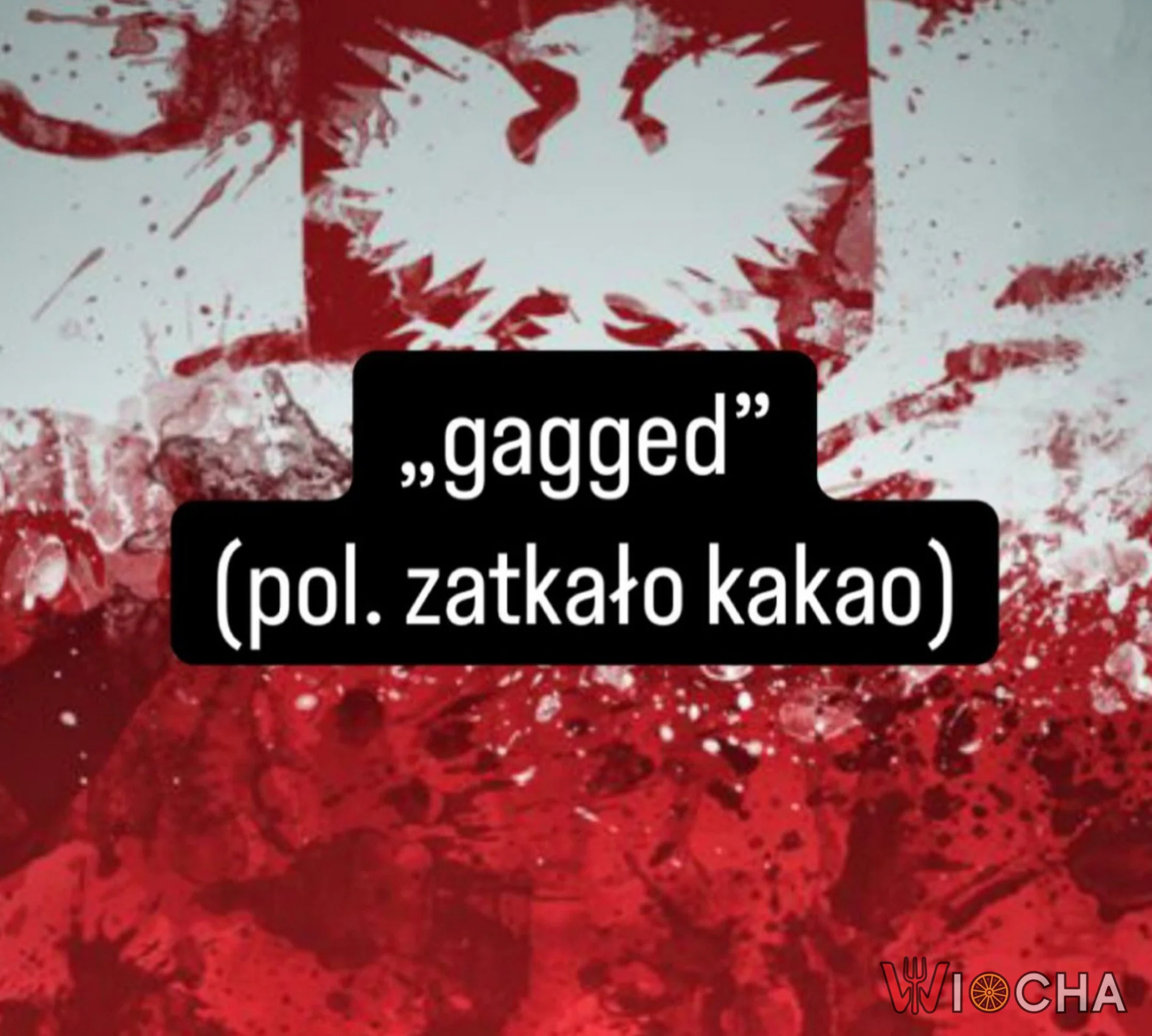 Polski język jest piękny