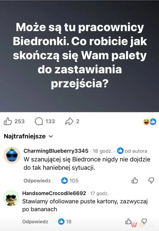 W żadnej szanującej się Biedronce nie zabraknie palet