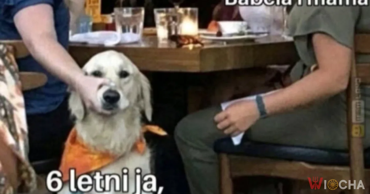 Siedź cicho