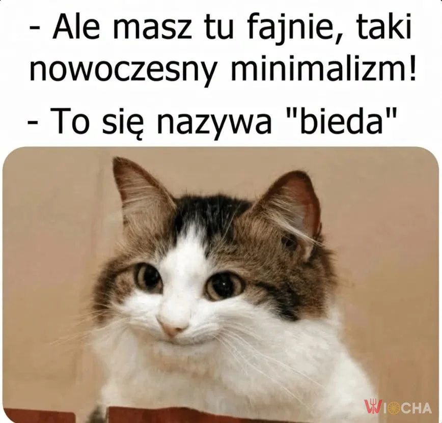 Minimalizm czy bieda?