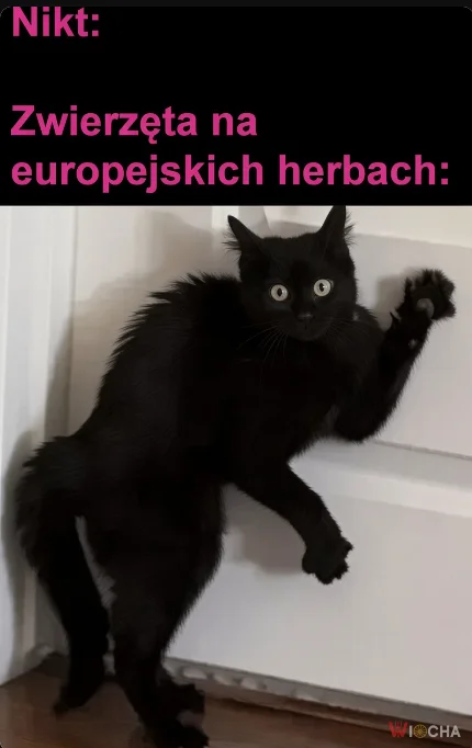 Europejskie herby bez powodu: