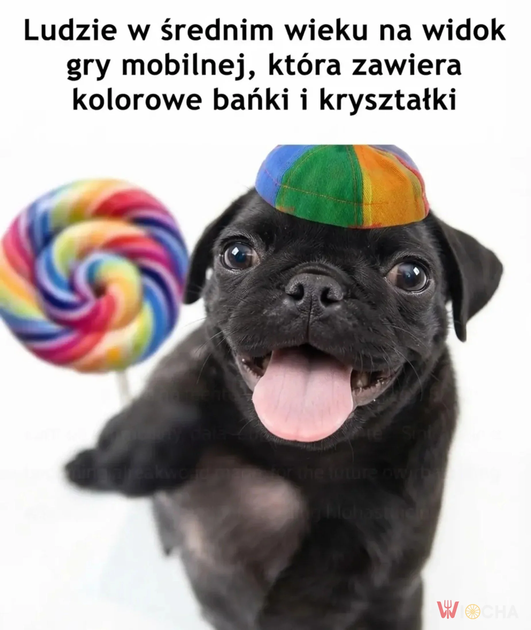 Wszyscy gramy!