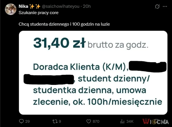 Praca marzeń?