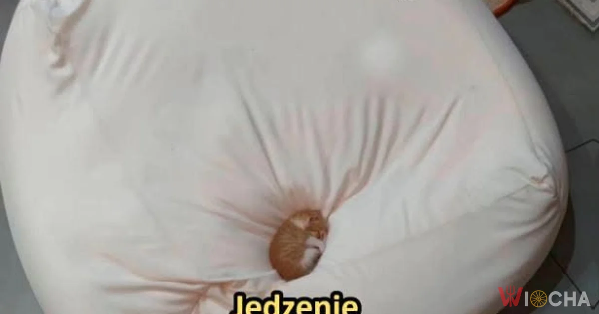 Restauracyjne szmutki