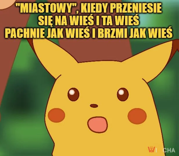 To wy tu tak żyjecie?