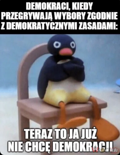 Demokracja na przymusowym urlopie