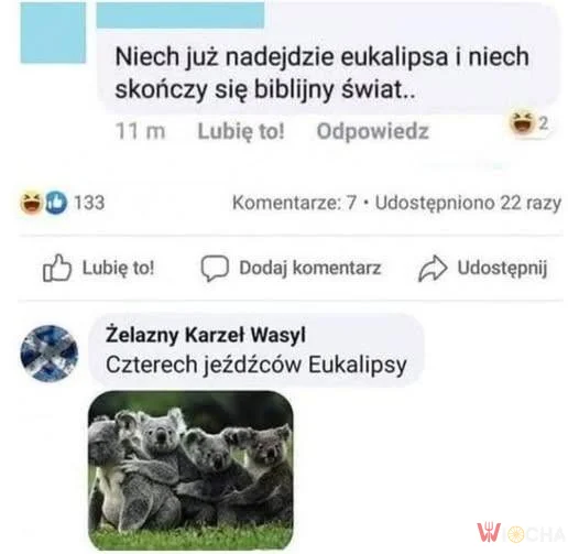 Nadejdzie eukalipsa