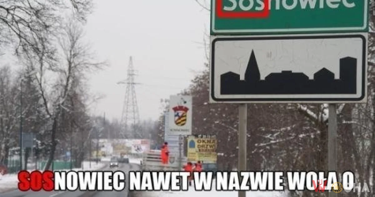 Sosnowiec w potrzebie